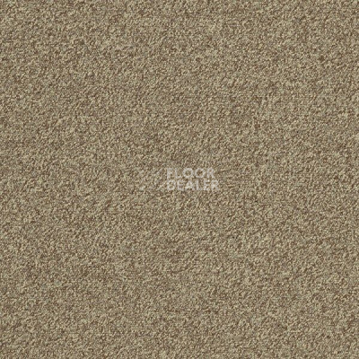 Ковровая плитка Interface Biosfera Boucle 7879 Occhio di Tigre фото 1 | FLOORDEALER